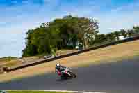 Session_50_Race_Bikes